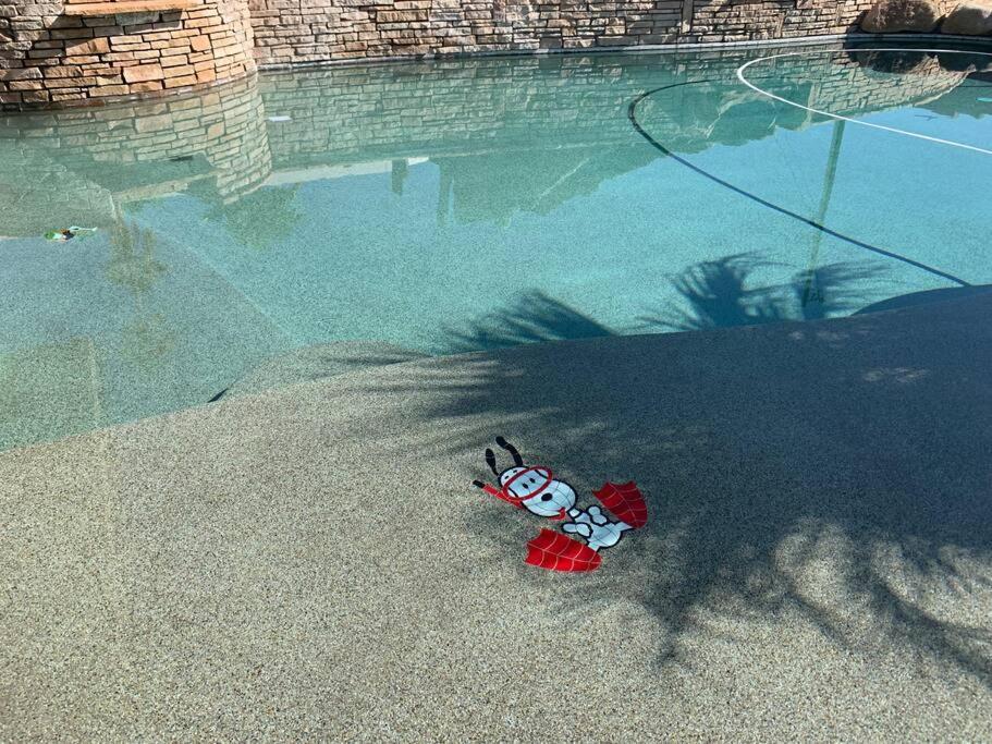 Ultimate Backyard-Pool/Spa. Slide. Lakeview. Ball レイク・ハヴァス・シティ エクステリア 写真
